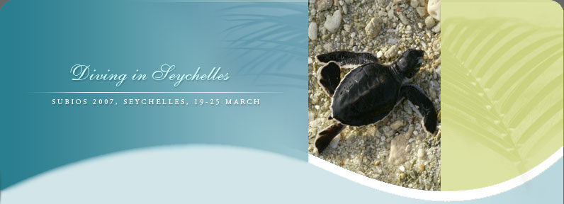Diving in Seychelles, SUBIOS 2007