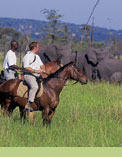Grumeti Reserves Safari