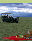 Tanzania Safari private picnic