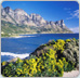 Ellerman House
