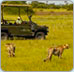 Luxury Safari Botswana