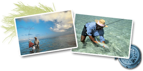 Fly fishing