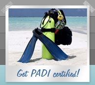 Get PADI certified in the Seychelles