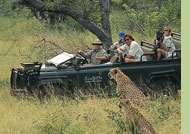 Singita Game Reserve