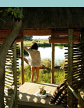 Botswana Safari