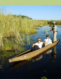 Mekoro Safari in Botswana