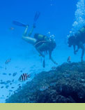 North Island Seychelles diving