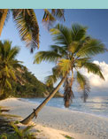 North Island Seychelles, Suite