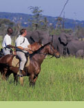 Sabora Plains tented camp