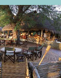 Botswana Safari