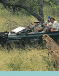 Singita Boulders Lodge Safari