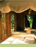 Lake Manyara Tree Lodge