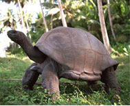 North Island Seychelles